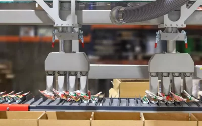 Automatización Encajado Envases Flexibles: Optimizando la Eficiencia de la Producción